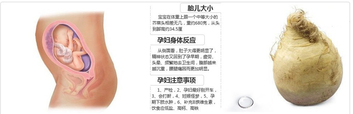 孕25周宝宝发育情况和注意事项