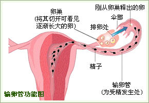 永州不孕不育医院治疗输卵管不孕是怎么治的