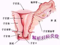 女性呵护下身的几个提醒