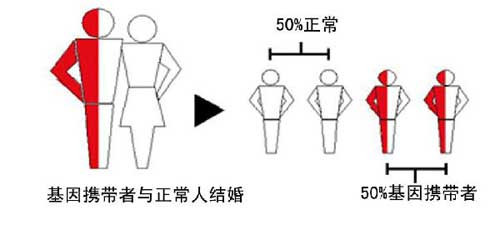 永州孕妈妈咨询：做地贫血筛查有问题能把孩子生下来吗