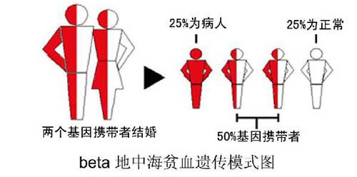 永州孕妈妈咨询：做地贫血筛查有问题能把孩子生下来吗